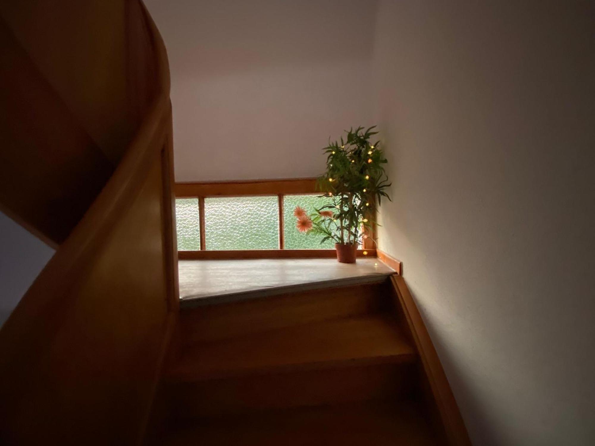 Haus Sunshine - Sunshine 1 Apartment Hessisch Oldendorf